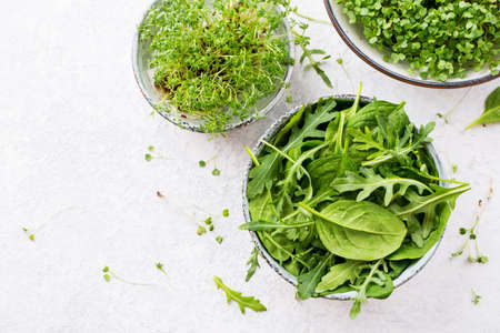 Fresh spinach leaves with arugula and sprouts garden cress and mustard. Healthy diet and clean eating concept. Copy space, Top view.の写真素材