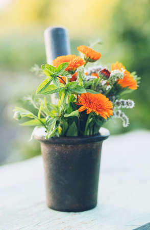 Bunch of fresh herbs and flowers in mortar. Selective focusの写真素材