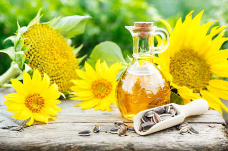 Sunflower Oil with seeds on old wooden table.の写真素材