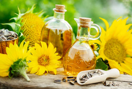 Sunflower oil in a small jarの写真素材