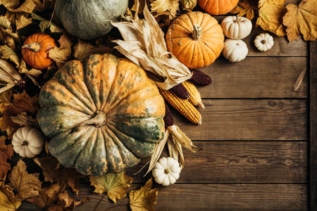 Pumpkins on a wooden background.の写真素材