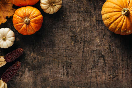 Pumpkins on a dark background.