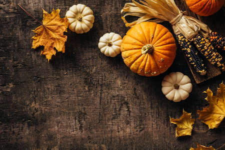 Pumpkins and corn and autumn leavesの写真素材