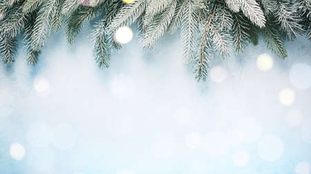Fir branches on a blue with bokeh lights.の写真素材