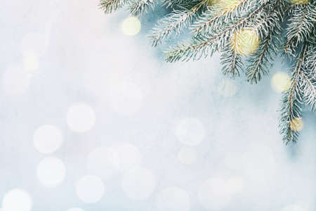 Fir branches on a blue with bokeh lights.の写真素材