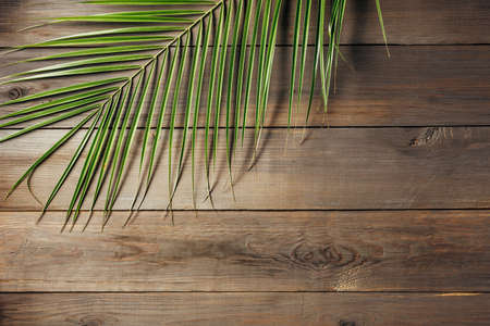Palm leaf on a old wooden boards. Wooden background with copy space. Top view.の写真素材