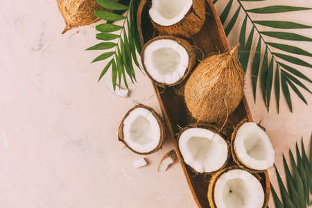 Fresh coconuts with coconut halves on a pinkの写真素材