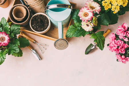 Gardening tools and colorful flowersの写真素材