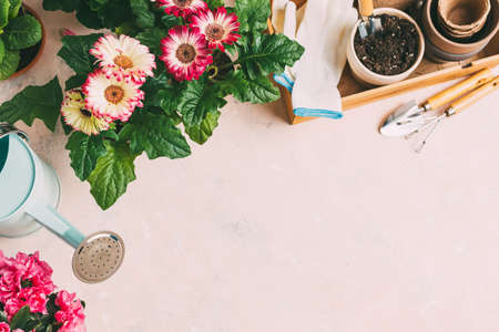 Gardening tools and different flowersの写真素材
