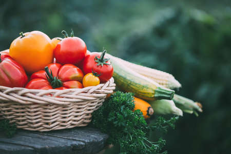 Organic vegetables and herbs