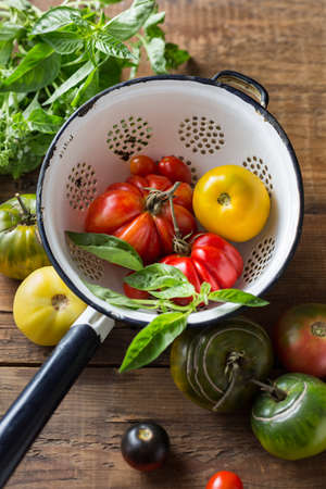 Farm tomatoes and herbs in a colanderの写真素材