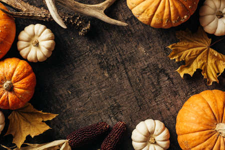 Pumpkins, corn and autumn leavesの写真素材