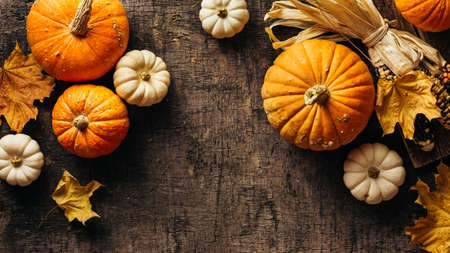 Pumpkins and corn and autumn leaves on old shabbyの写真素材