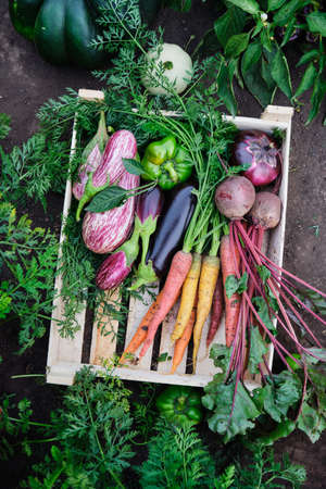 Various organic vegetables in a wooden boxの写真素材