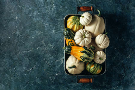 Pumpkins background with copy space. Harvest pumpkins.の写真素材