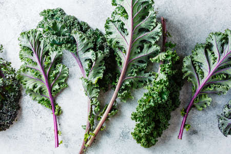 Freshly cut purple Kale leaves on a light textured background. Clean food. Healthy product.の写真素材