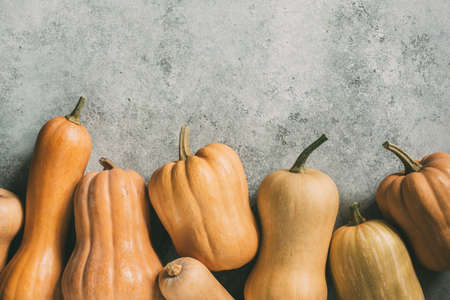 Lots of orange pumpkins on a grey backgroundの写真素材