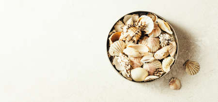 Various shells in a metal jarの写真素材
