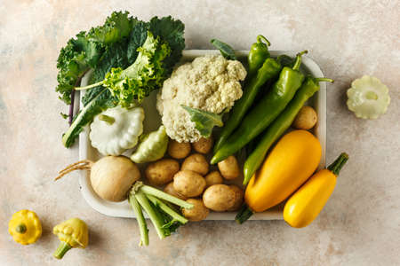 Various types of seasonal vegetablesの写真素材