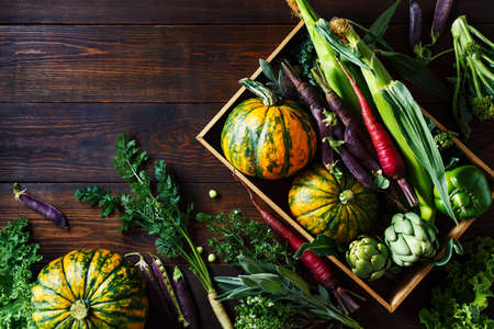 Fresh organic seasonal vegetables, ingredients for cooking. Food background with copy space. Top viewの写真素材