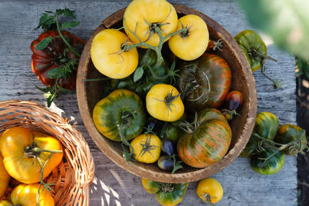Various colorful tomatoes in a bowlの写真素材