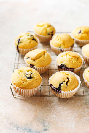Delicious blueberry muffins on a cooling rack. Selective focus.