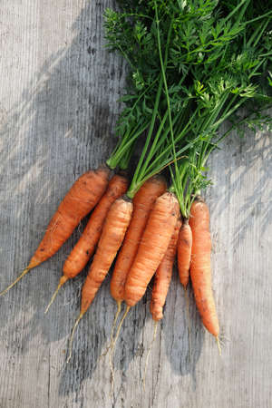 Bunch of organic carrots on a wooden surface.の写真素材