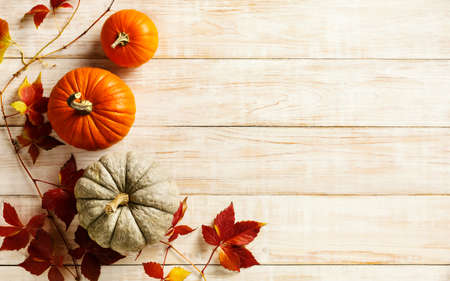 Autumn holiday backgroundの写真素材