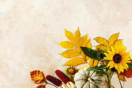 Thanksgiving and fall holidays backgroundの写真素材
