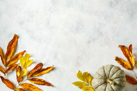 Autumn holiday backgroundの写真素材