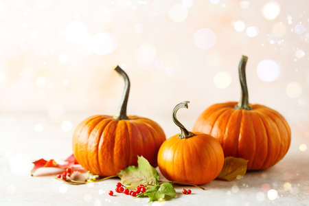Autumn holiday background with pumpkinsの写真素材