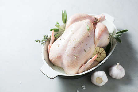 Raw chicken with spicesの写真素材