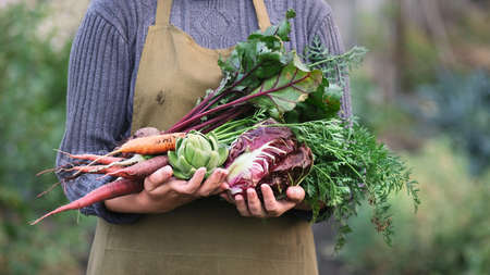 Woman holding organic vegetables. Health food for a vegan diet. Growing vegetables.の写真素材