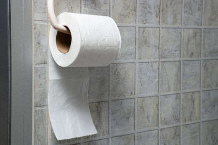 White roll of toilet paper is hanging on the tile wall in toilet