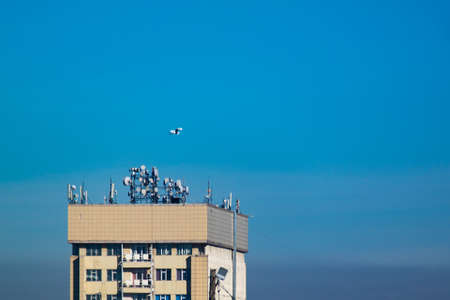 A white bird fly away from city above the roof of tall building in blue skyの写真素材