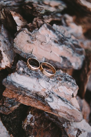 Couple wedding rings on old wood texture, the bark of the treeの写真素材