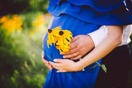 Father and pregnant mother holding hands together with yellow flowers on a green meadow. Dressed in a blue dress and shirtの写真素材