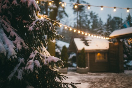 Close-up detail of a branch of fir in the snow against the background of a wooden house and a...
