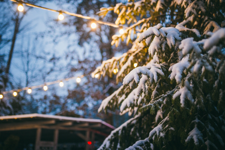 winter and holidays background for new year and christmas. Close-up detail of a branch of fir in the snow against the background of a wooden house and a garland of lights shining in the evening.の写真素材