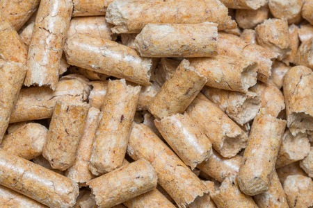 Close-up macro filler for cat pet pet toilet. Pressed wood sawdust egology clean, no smell for the...