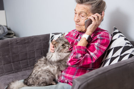 Mature contented joy smile active gray hair Caucasian wrinkles woman sitting home living room on sofa with fluffy cat using mobile phone, calling and talking phone.の写真素材