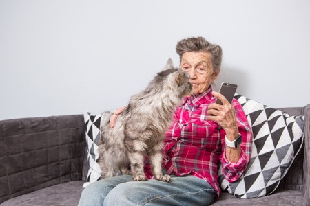 very old senior Caucasian grandmother with gray hair and deep wrinkles sitting home on sofa in jeans and shirt with gray fluffy shaggy cat and using smart phone technology in hands. Pensioner and pet.の写真素材
