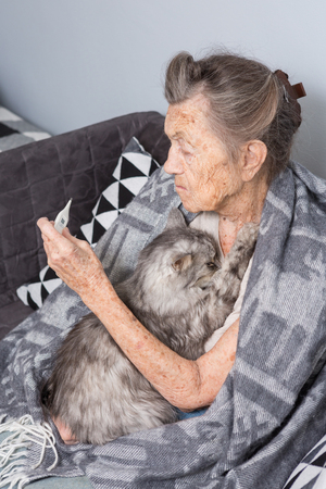 A very old senior Caucasian grandmother with gray hair and deep wrinkles is sitting at home on a sofa with a pet cat. Illness is cold and fever. Pensioner holds a thermometer in his hands.の写真素材