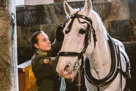February 20, 2019.Royal Stable in Denmark Copenhagen in territory Christiansborg Slot. Man young woman rider jockey preparing for a bridle, bridle, occasion, bridel snaffle, bridle on a white horse.のeditorial素材