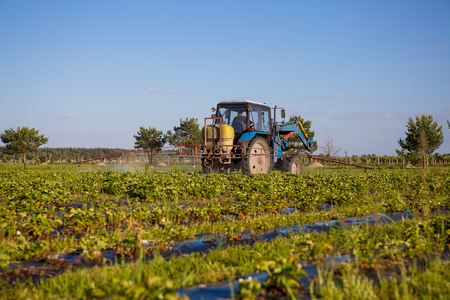 Agricultural tractor cultivates the soil on the field.の写真素材