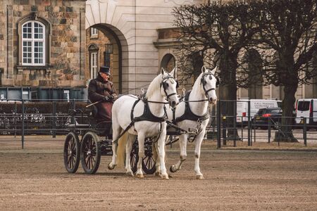 February 20, 2019. Military officer training two white horses from royal stables in front. Horses and cart with rider at Christianborg palace. Royal Stable in Denmark territory Christiansborg Slot.のeditorial素材