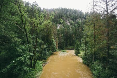 Dirty water runs in a mountain Hornad river, after rain in canyon of National park Slovak paradise,...