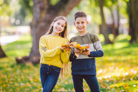 Happy twins teenagers boy and girl posing hugging each other in autumn park holding fallen yellow leaves in hand in sunny weather. Autumn season theme. Brother and sister have fun playing with leaves.の写真素材