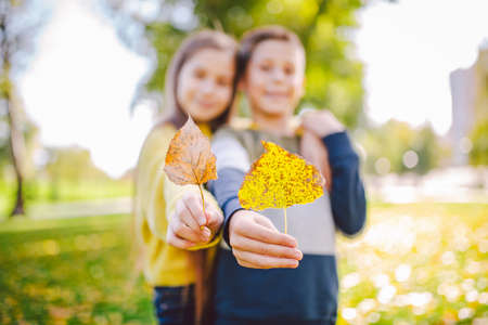 Friendship between siblings. Siblings together outside with bright colored background. Kids autumn portrait. Brother and sister playing in autumn park leaves. Family active fall weekend concept.の写真素材