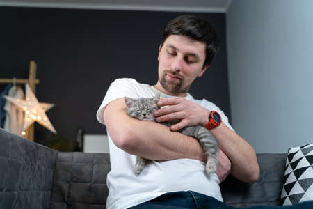Caucasian male holds small cute gray Scottish Straight kitten in arms that falls asleep at home on...